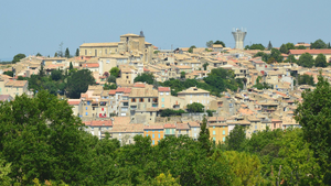 Courtier Cavaillon